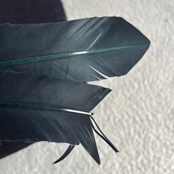 1920s 1930s Black Wool Cloche Hat with Feathers - Picture 12 of 16